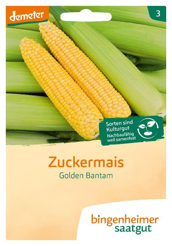 Produktfoto zu Zuckermais, Golden Bantam SAATGUT