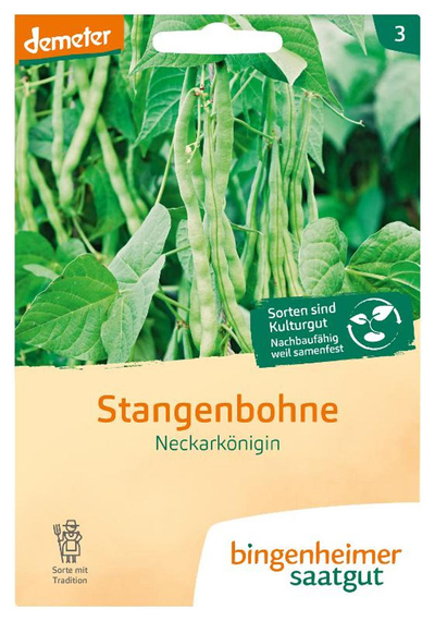 Produktfoto zu Stangenbohnen Neckarkönigin SAATGUT