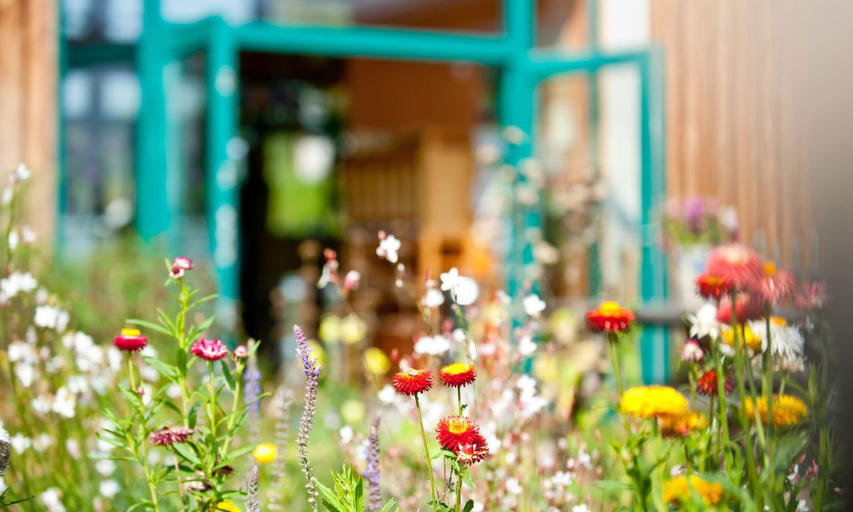 KI generiert: Bunte Wildblumen im Vordergrund vor einem unscharfen Hintergrund mit geöffneten Türen.