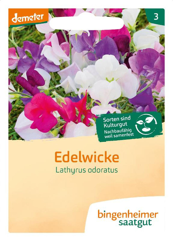 Produktfoto zu Edelwicke, SAATGUT