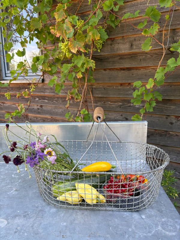 KI generiert: Ein Drahtkorb mit Gemüse und Beeren vor einer Holzwand mit Weinranken.