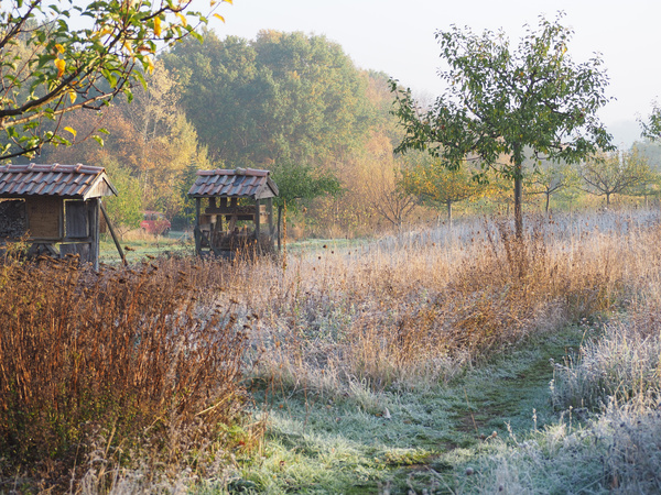 KI generiert: Herbstliche Landschaft mit Bäumen, zwei Holzhütten und einem Pfad im Vordergrund. Keine Texte enthalten.