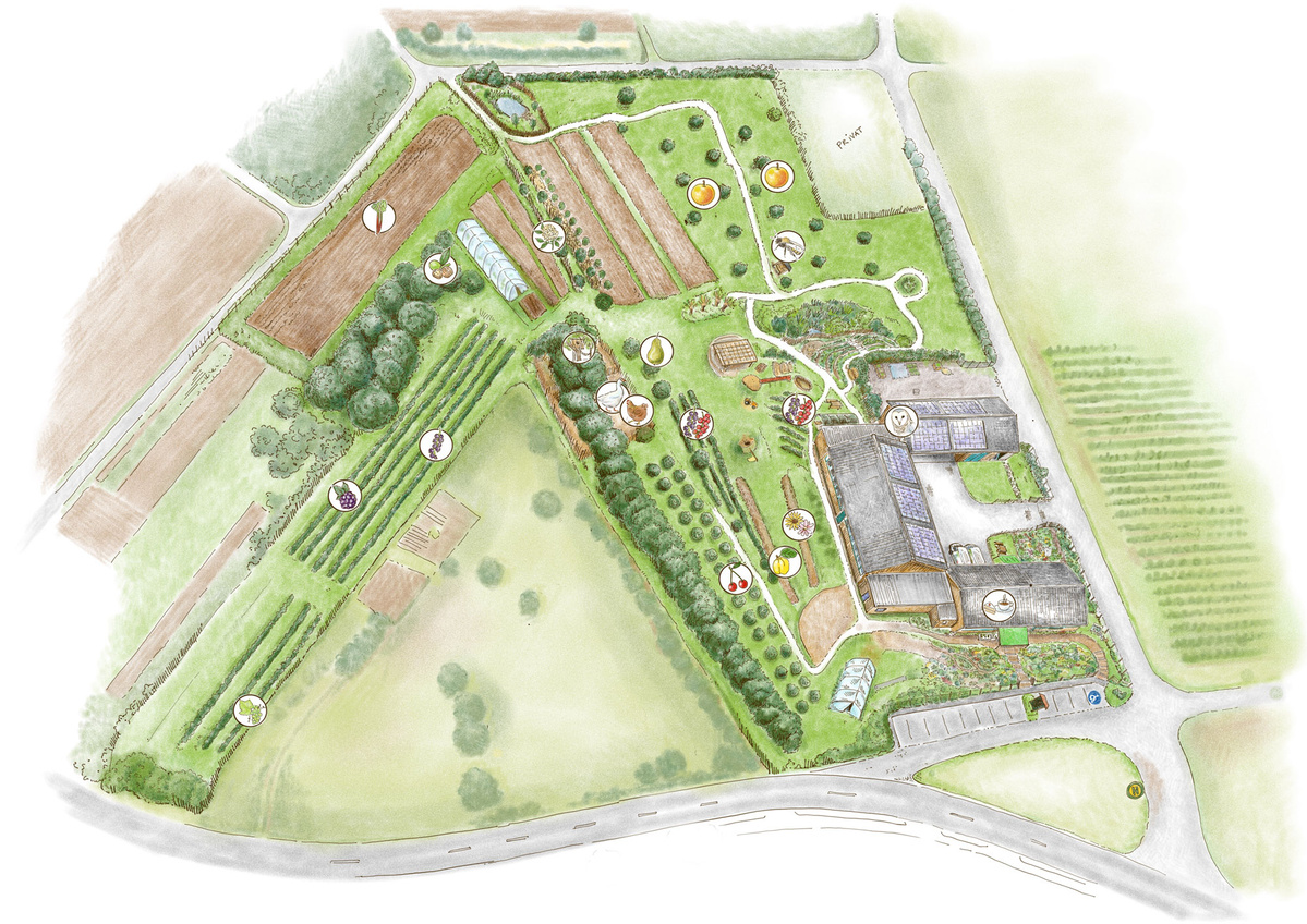 Gartenplan
