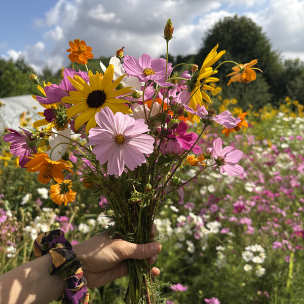 KI generiert: Ein bunter Blumenstrauß wird in der Hand gehalten, mit Wiese im Hintergrund.