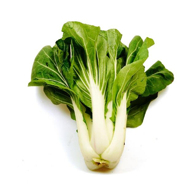 Produktfoto zu APFELBACHERs Pak Choy 400gr+