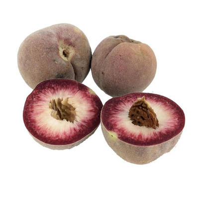Produktfoto zu APFELBACHERs Weinbergpfirsiche