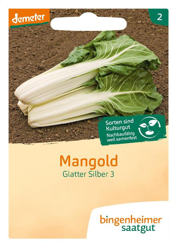Produktfoto zu Mangold, Glatter Silber SAATGUT