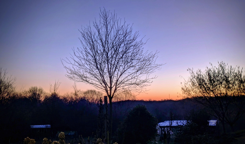 KI generiert: Ein kahler Baum vor einem farbigen Abendhimmel mit warmen und kühlen Tönen. Keine Texte vorhanden.