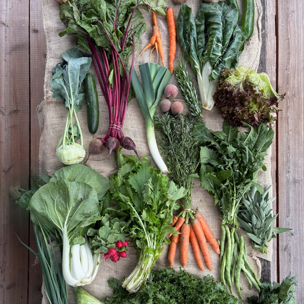 KI generiert: Verschiedenes frisches Gemüse auf einem Tisch angeordnet, darunter Karotten, Lauch und Salat.