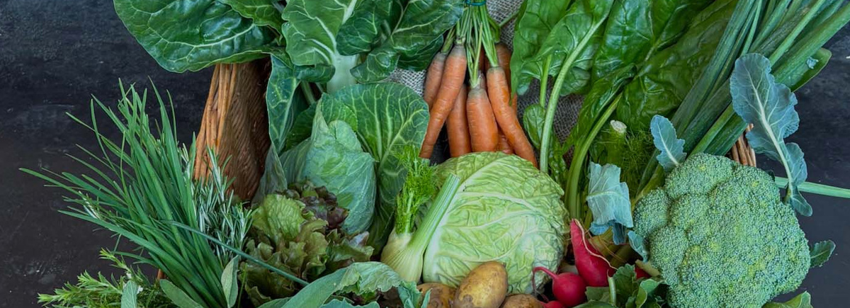 KI generiert: Ein Korb voller frischem Gemüse wie Karotten, Brokkoli, Lauch und Kohl.
