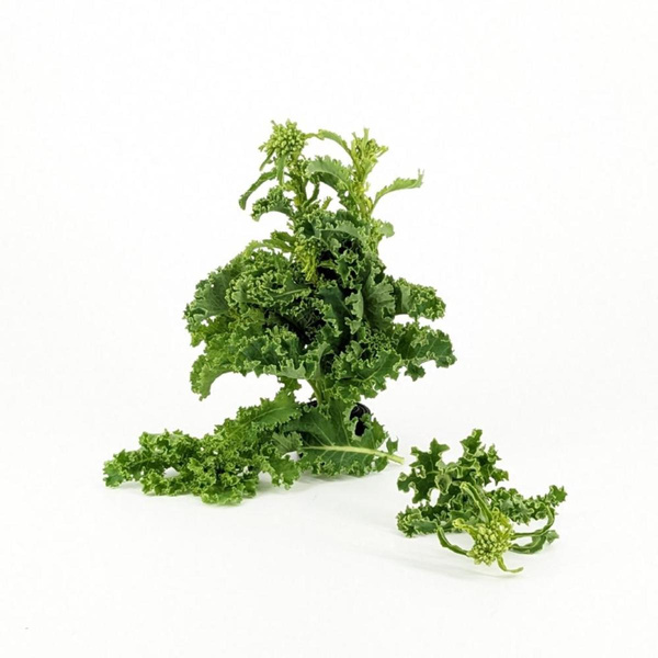 Produktfoto zu APFELBACHERs Grünkohlspitzen am Strunk