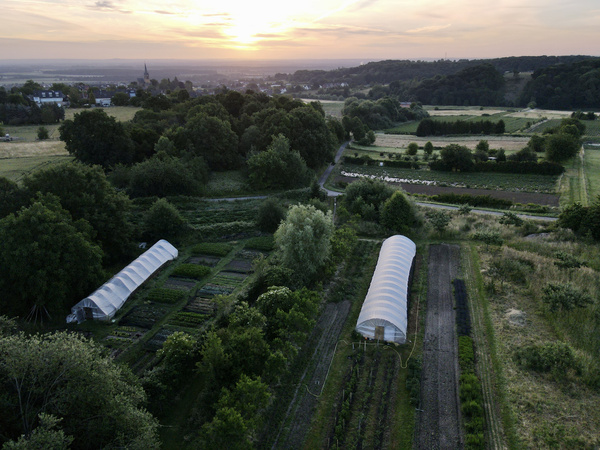 KI generiert: Landschaft mit Gewächshäusern und Feldern unter einem Sonnenuntergangshimmel aus der Vogelperspektive.