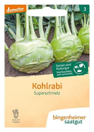 Produktfoto zu Kohlrabi Superschmelz SAATGUT