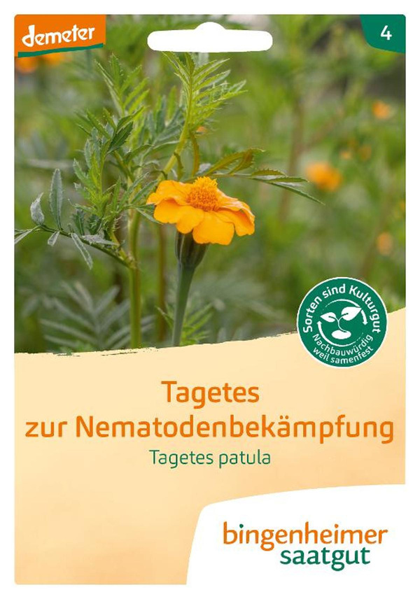 Produktfoto zu Tagetes gegen Nematoden SAATGUT