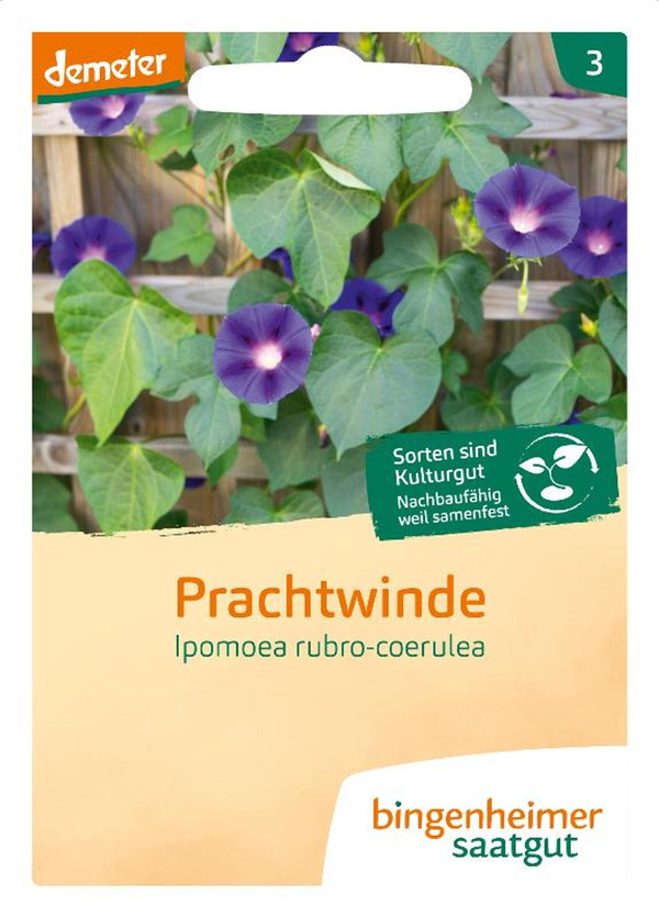 Produktfoto zu Prachtwinde, SAATGUT