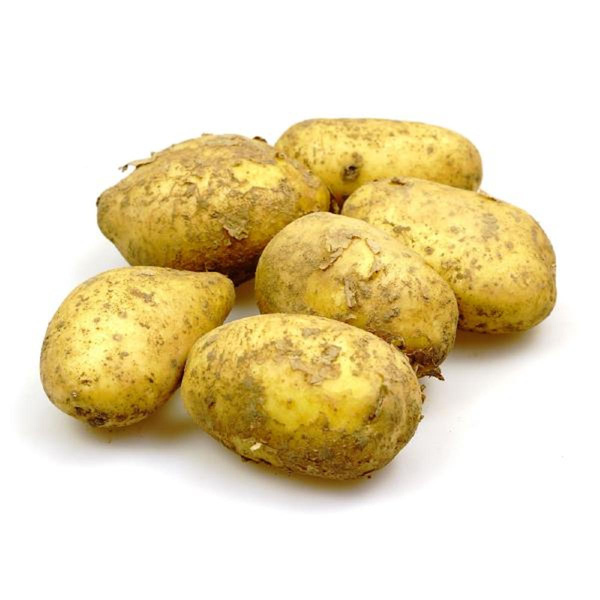 Produktfoto zu APFELBACHERs Pflanzkartoffel "Antonia", 1kg Btl.