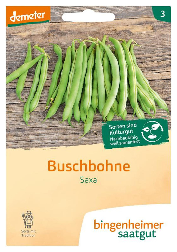 Produktfoto zu Buschbohnen, Saxa SAATGUT