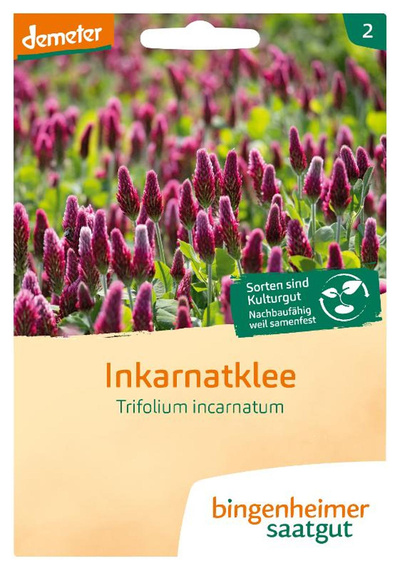 Produktfoto zu Inkarnatklee SAATGUT