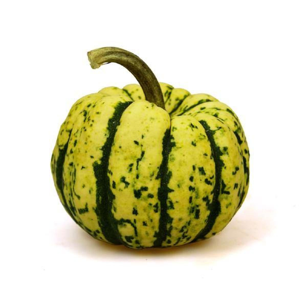 Produktfoto zu APFELBACHERs Backofenkürbis 500gr+