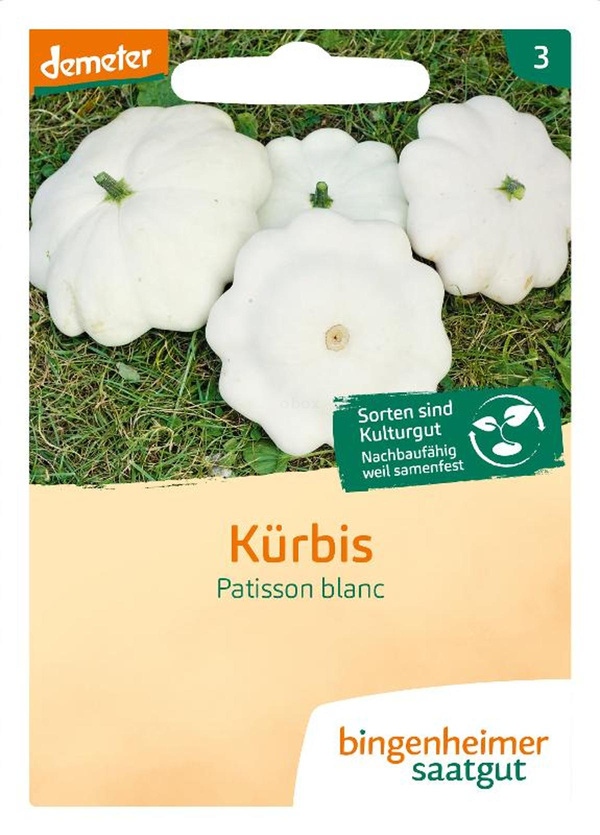 Produktfoto zu Kürbis, Patisson SAATGUT