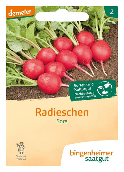 Produktfoto zu Radieschen Sora SAATGUT