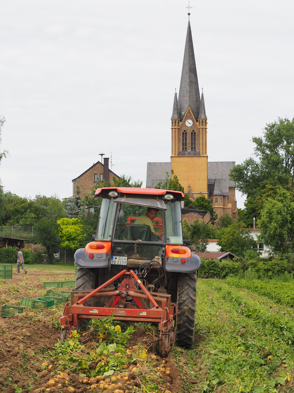 KI generiert: Ein Traktor erntet auf einem Feld, im Hintergrund ist eine Kirche zu sehen.