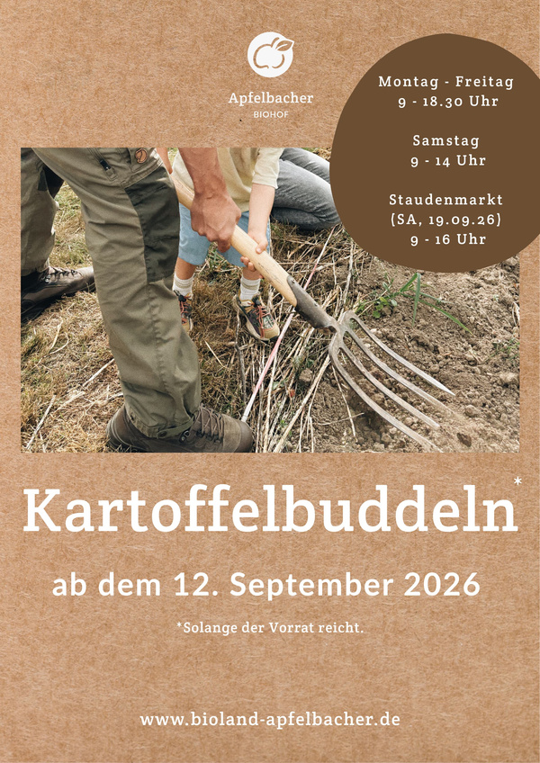 KI generiert: Ein bunter Blumenstrauß wird in der Hand gehalten, mit Wiese im Hintergrund.