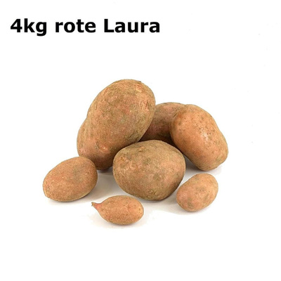Produktfoto zu APFELBACHERs 4kg Kartoffeln GÜNSTIGER
