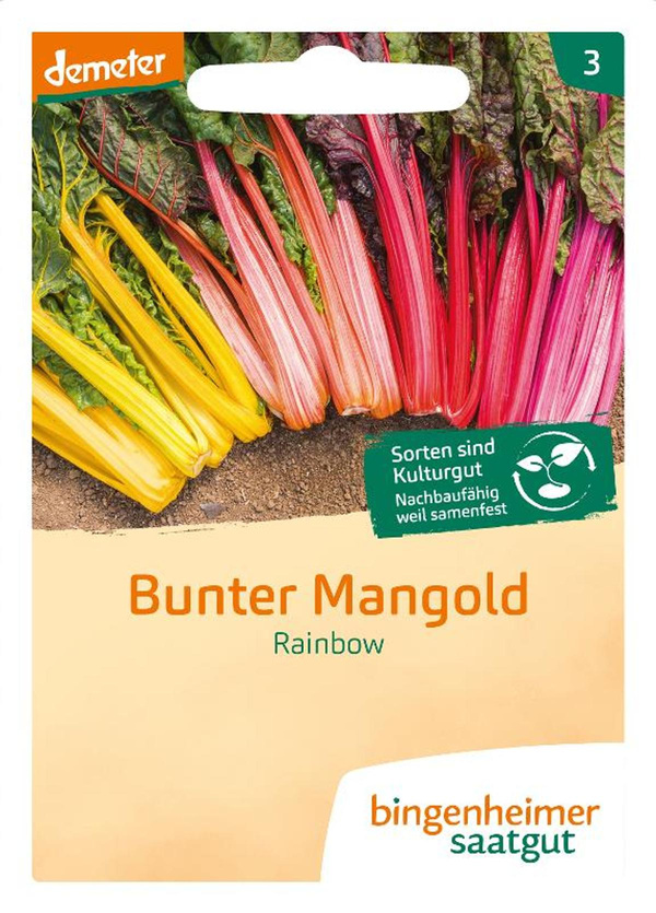 Produktfoto zu Mangold bunt Rainbow, SAATGUT