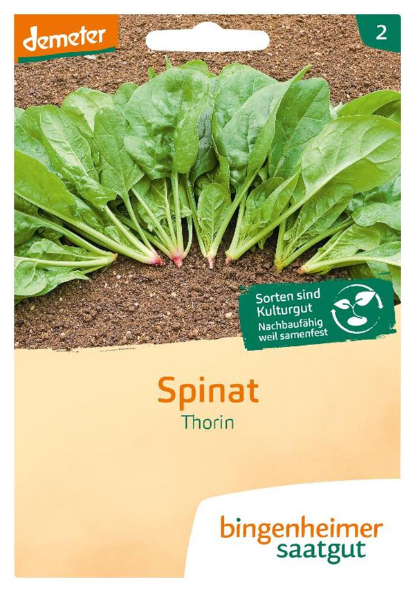 Produktfoto zu Spinat Thorin (ehem. Matador) SAATGUT