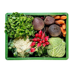 Produktfoto zu Regionalkiste groß