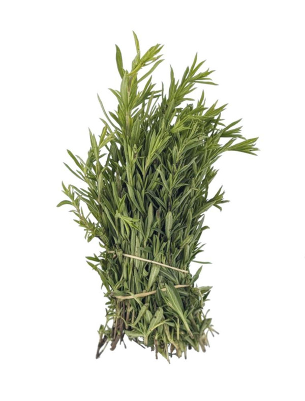 Produktfoto zu APFELBACHERs Bohnenkraut