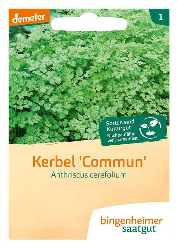 Produktfoto zu Kerbel, SAATGUT