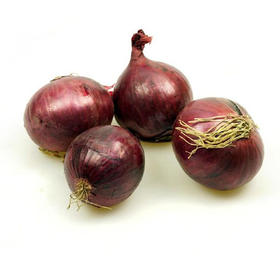 Produktfoto zu Rote Zwiebeln  aus Venlo