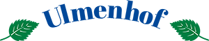 KI generiert: Ein Logo mit grünem und blauem Design, zwei Blätter enthalten. Enthält Text: "Ökokiste".