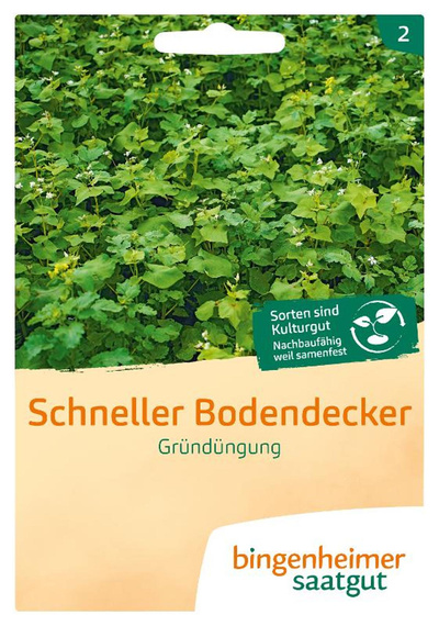 Produktfoto zu Schneller Bodendecker SAATGUT