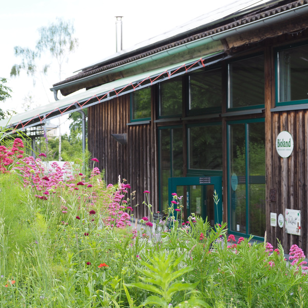 KI generiert: Holzhaus mit Blumenwiese und Schild "Bio-Land".