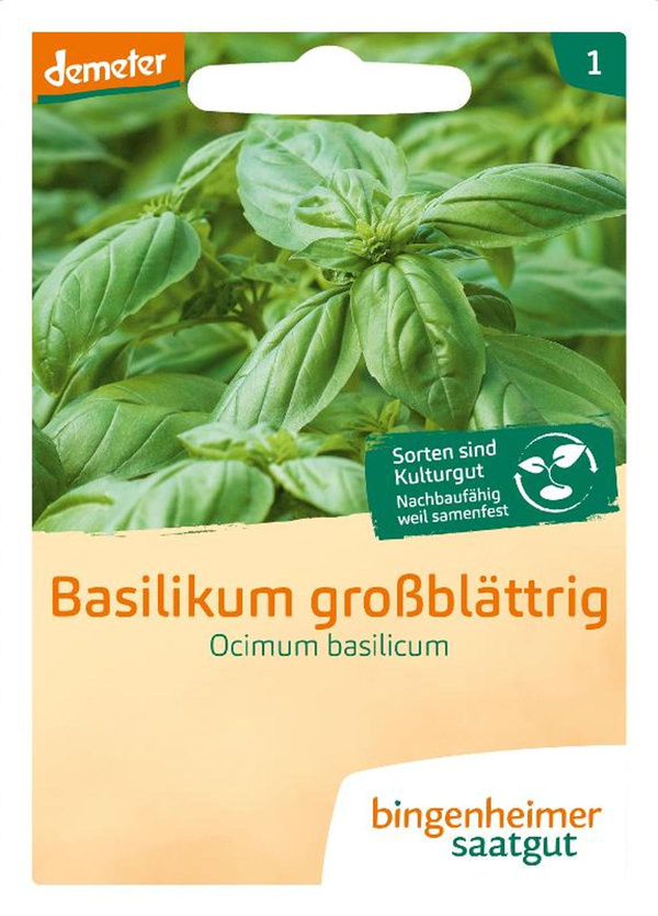 Produktfoto zu Basilikum großblättrig SAATGUT