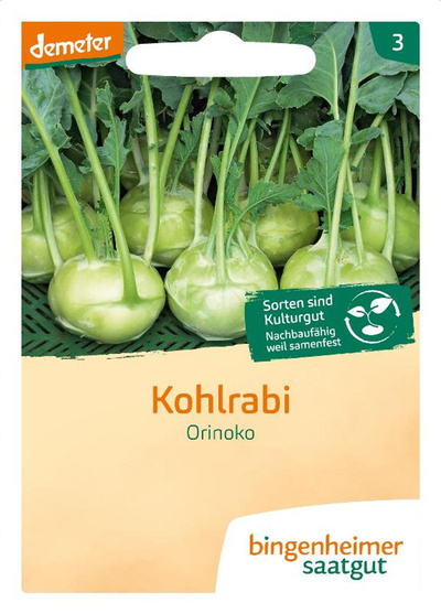 Produktfoto zu Kohlrabi weiß Orinoko SAATGUT