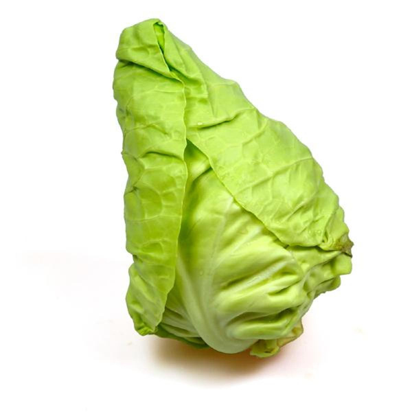 Produktfoto zu APFELBACHERs Spitzkohl 500gr+