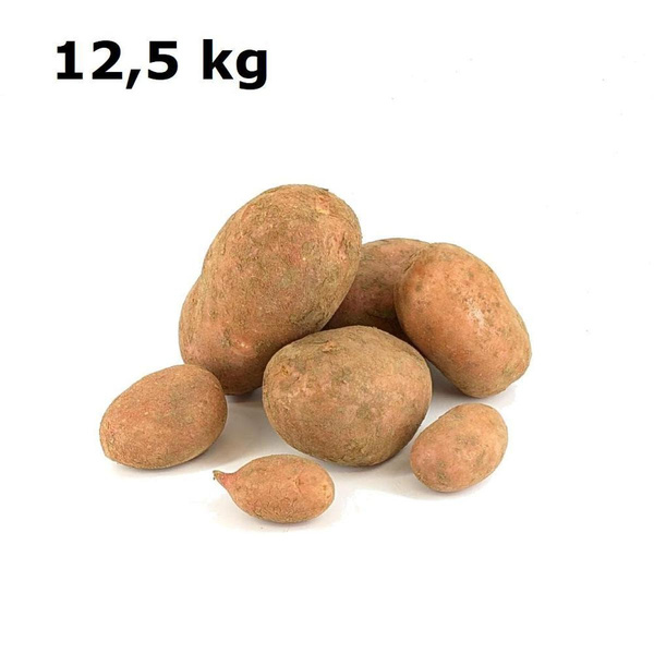 Produktfoto zu Kartoffeln 12,5kg