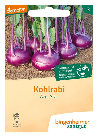 Produktfoto zu Kohlrabi blau, Azur Star SAATGUT