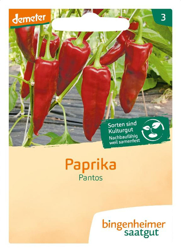 Produktfoto zu Paprika Pantos SAATGUT