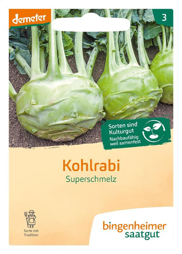 Produktfoto zu Kohlrabi Superschmelz SAATGUT
