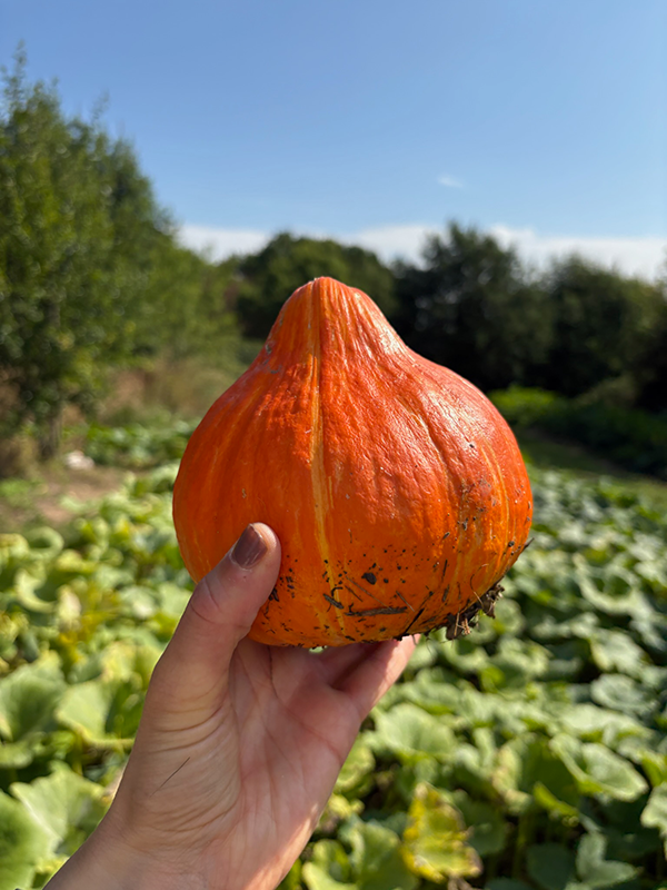 KI generiert: Eine Frau mit orangefarbenem Kopftuch in einer grünen Umgebung.