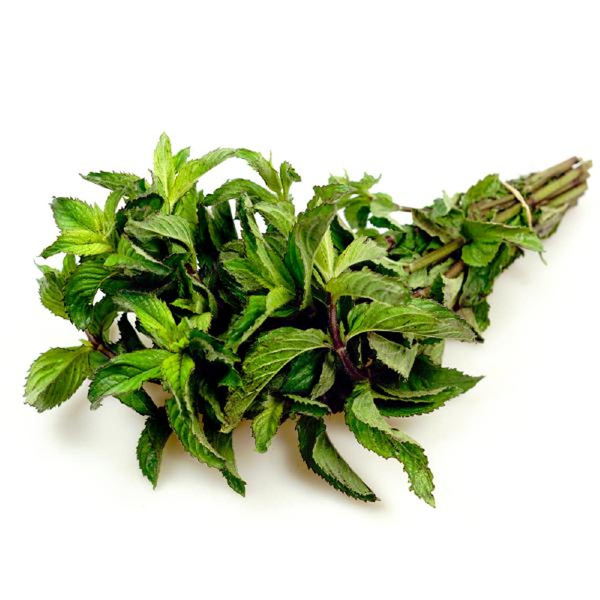 Produktfoto zu Minze aus dem Vorgebirge