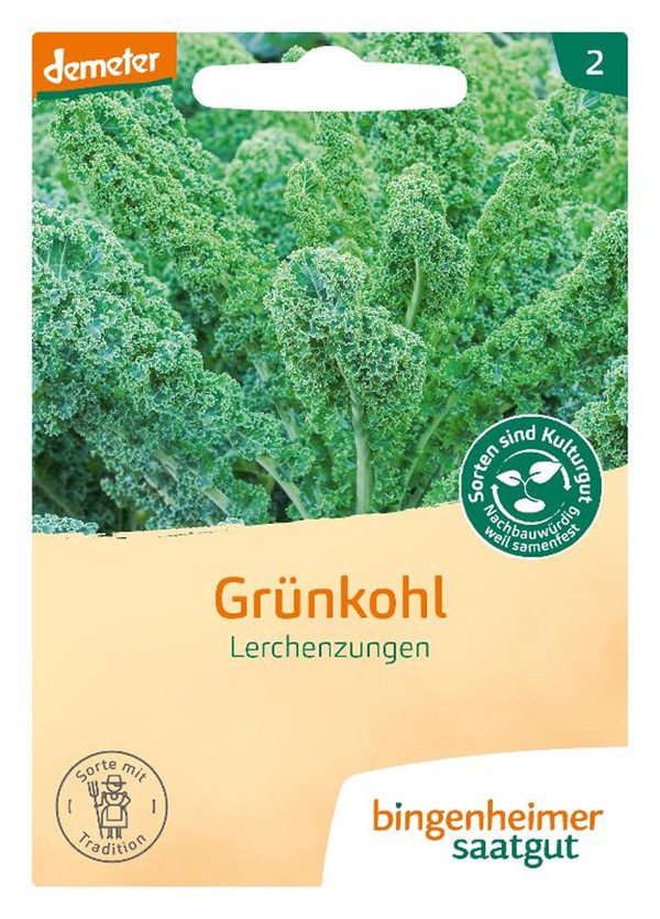 Produktfoto zu Grünkohl Lerchenzungen SAATGUT