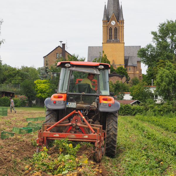 KI generiert: Ein Traktor bei der Ernte auf einem Feld vor einer Kirche.