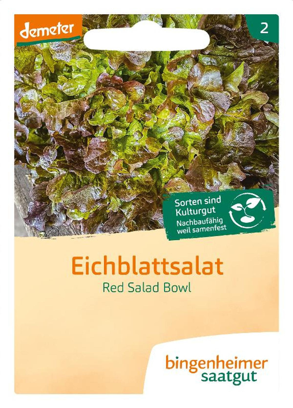 Produktfoto zu Plücksalat Red Salad Bowl SAATGUT