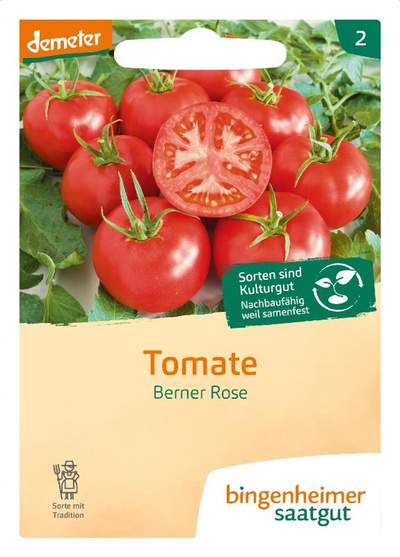 Produktfoto zu Fleischtomate Berner Rose